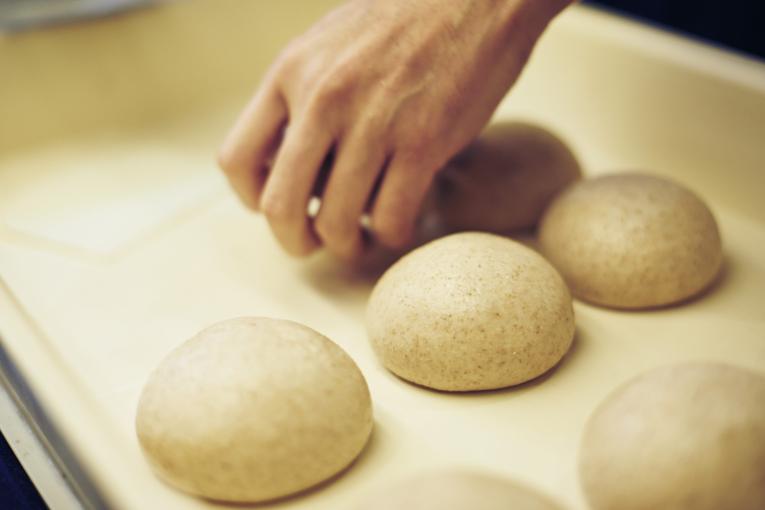 Taste Tama: A Culinary Journey